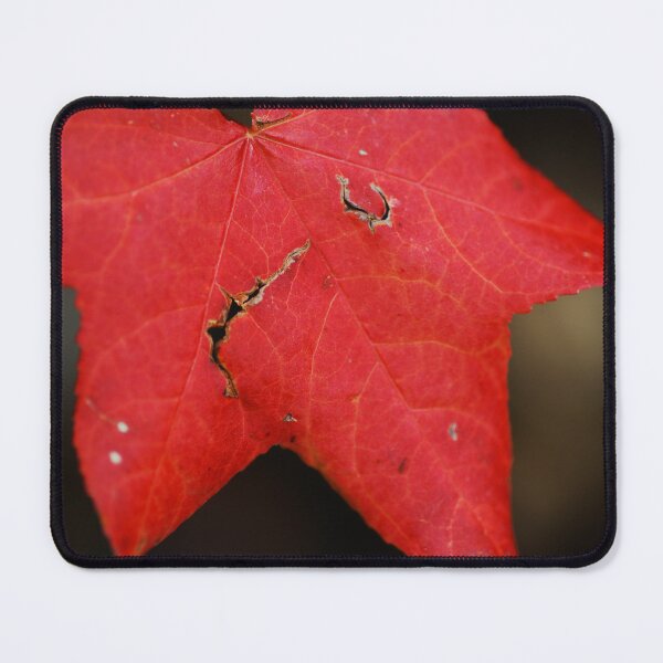 Item preview, Rich N Red Drama Leaf designed and sold by Joy Watson - Natural Light Photography .