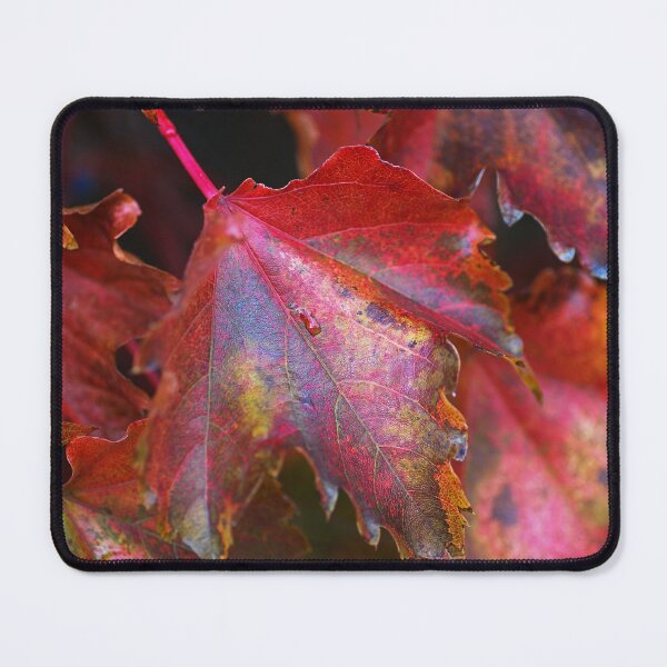 Item preview, Vine Red Autumn Leaves designed and sold by Joy Watson - Natural Light Photography .