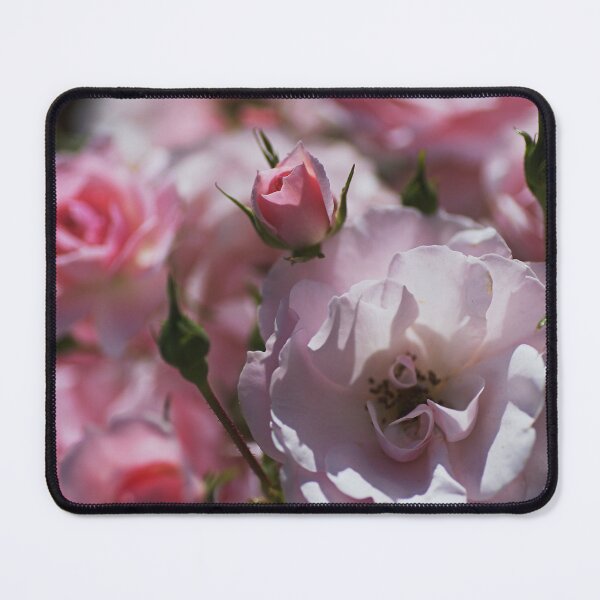 Item preview, Rose Bud In The Bunch  designed and sold by Joy Watson - Natural Light Photography .
