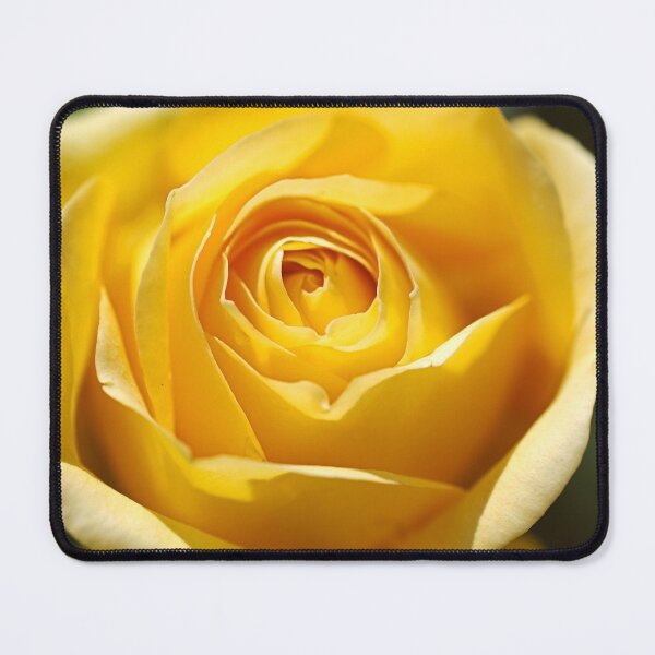 Item preview, Golden Bunny Rose Opened designed and sold by Joy Watson - Natural Light Photography .