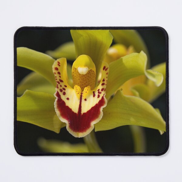 Item preview, Green Plus Red Orchid Flower designed and sold by Joy Watson - Natural Light Photography .