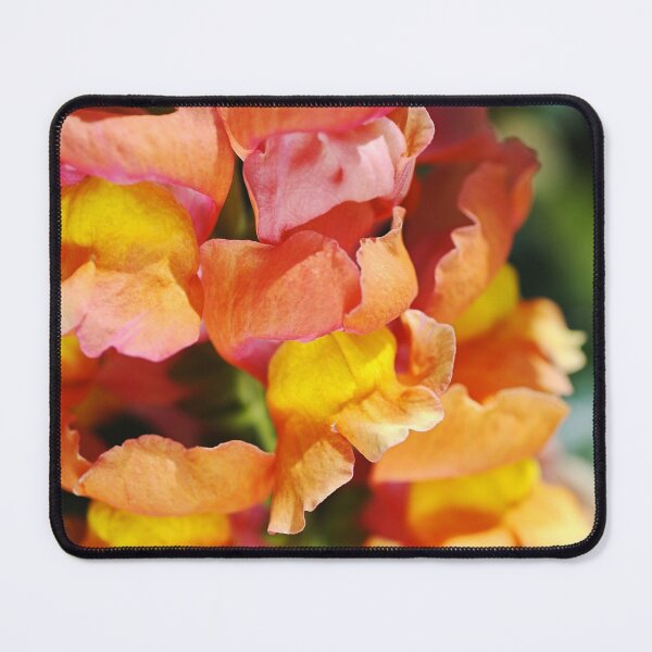 Item preview, Snapdragon Flowers Reddish Golden  designed and sold by Joy Watson - Natural Light Photography .