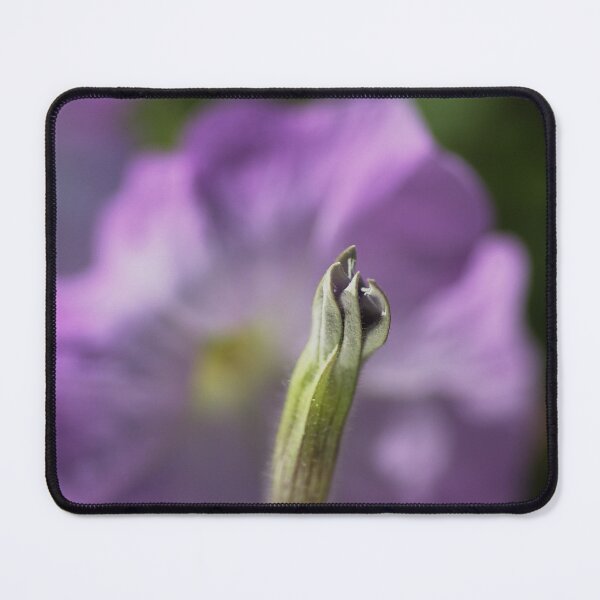 Item preview, Pink Petunia Bud Over Bloom  designed and sold by Joy Watson - Natural Light Photography .
