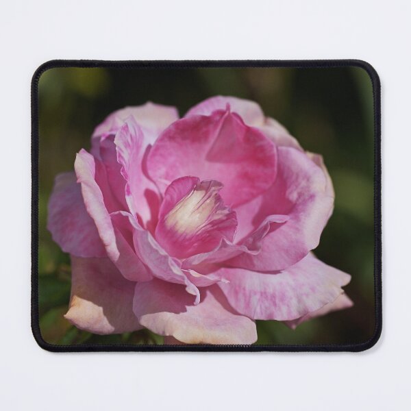 Item preview, Lorraine Lee Rose Pink designed and sold by Joy Watson - Natural Light Photography .