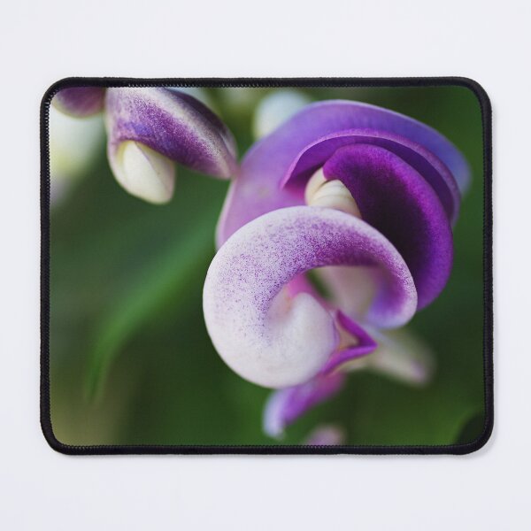 Item preview, Corkscrew Vine Flower Purples designed and sold by Joy Watson - Natural Light Photography .