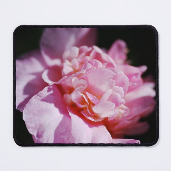 Item preview, Camellia Debbie Pink Flower designed and sold by Joy Watson - Natural Light Photography .