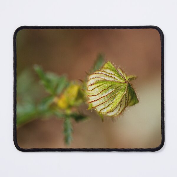 Item preview, Hibiscus Bud Has Pleats designed and sold by Joy Watson - Natural Light Photography .