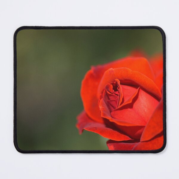 Item preview, Red And Romance Rose designed and sold by Joy Watson - Natural Light Photography .