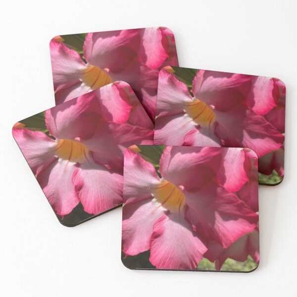 Item preview, Desert Rose designed and sold by reb21052.