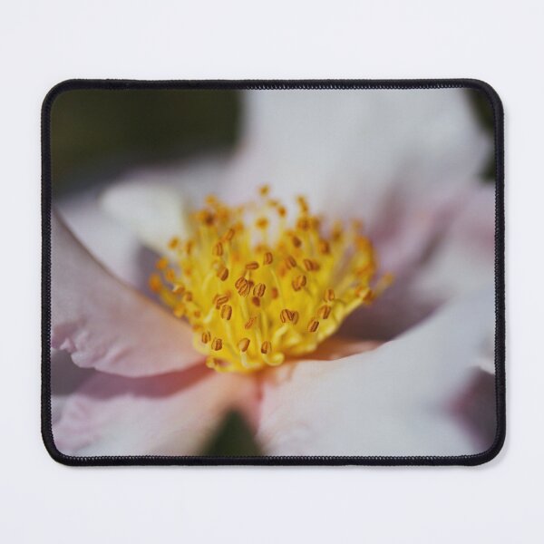 Item preview, Camellia Japonica Soft Pink Flower designed and sold by Joy Watson - Natural Light Photography .