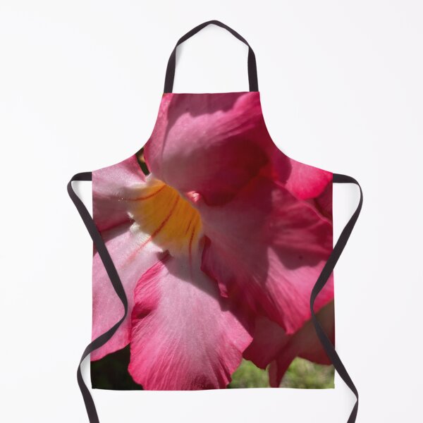 Item preview, Desert Rose designed and sold by reb21052.
