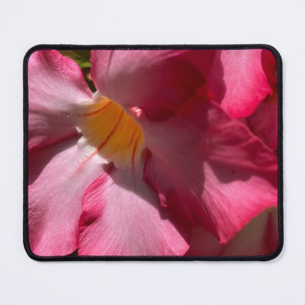 Item preview, Desert Rose designed and sold by reb21052.