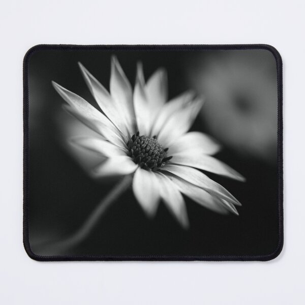 Item preview, Cape Daisy BW Flower designed and sold by Joy Watson - Natural Light Photography .