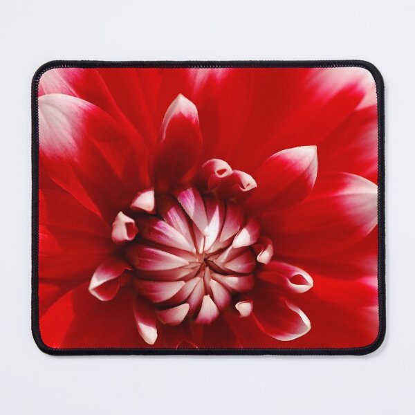 Item preview, Red With White Dahlia Circles designed and sold by Joy Watson - Natural Light Photography .
