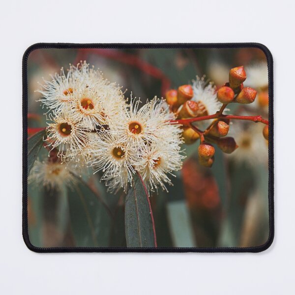 Item preview, White Snowflake Eucalyptus Flowers Variety designed and sold by Joy Watson - Natural Light Photography .