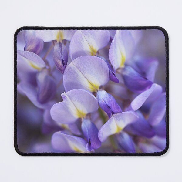 Item preview, Wisteria Vine Romantic Purple designed and sold by Joy Watson - Natural Light Photography .