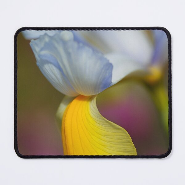 Item preview, Yellow Dutch Iris Beardless Flower designed and sold by Joy Watson - Natural Light Photography .