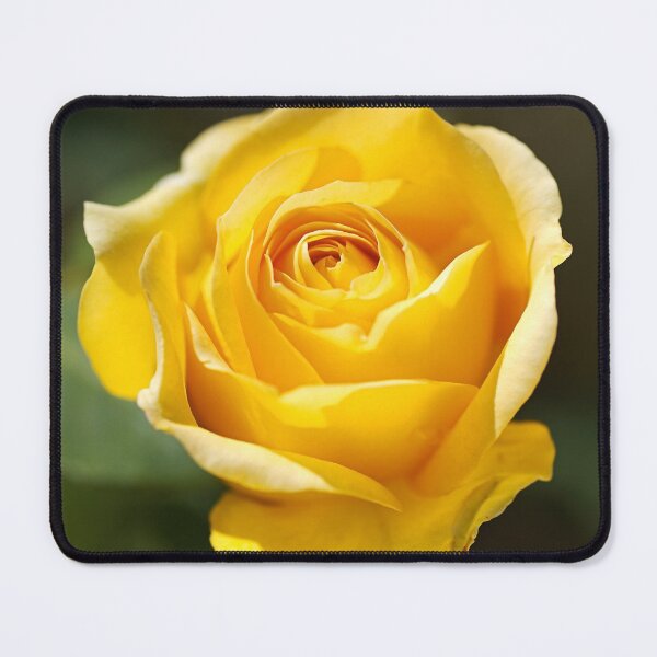Item preview, Gold Bunny Rose designed and sold by Joy Watson - Natural Light Photography .