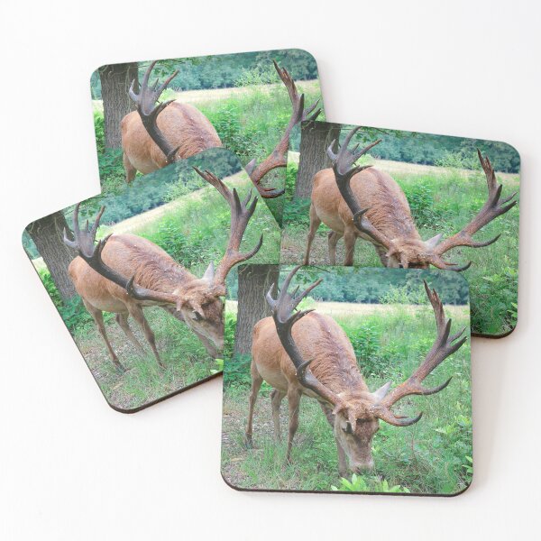 Item preview, Red deer stag at the Veluwe, the Netherlands designed and sold by Anita van Gendt.