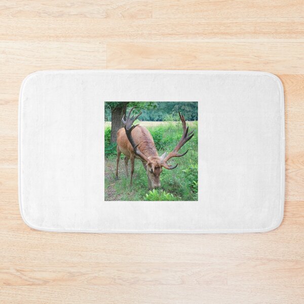 Item preview, Red deer stag at the Veluwe, the Netherlands designed and sold by Anita van Gendt.