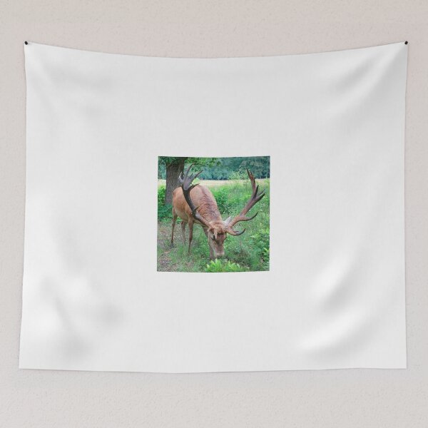 Item preview, Red deer stag at the Veluwe, the Netherlands designed and sold by Anita van Gendt.