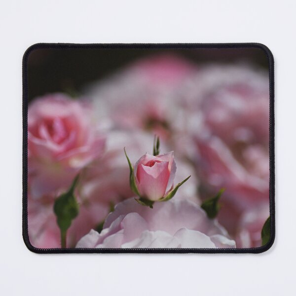 Item preview, Rose Bud Has Rested designed and sold by Joy Watson - Natural Light Photography .