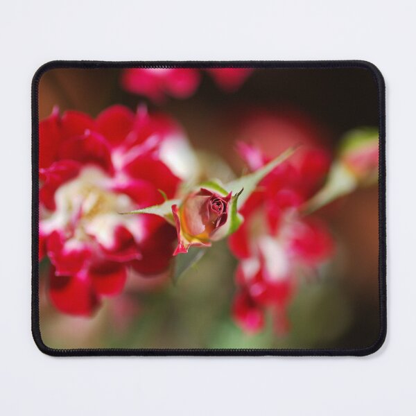 Item preview, Small Center Rose Bud Red  designed and sold by Joy Watson - Natural Light Photography .