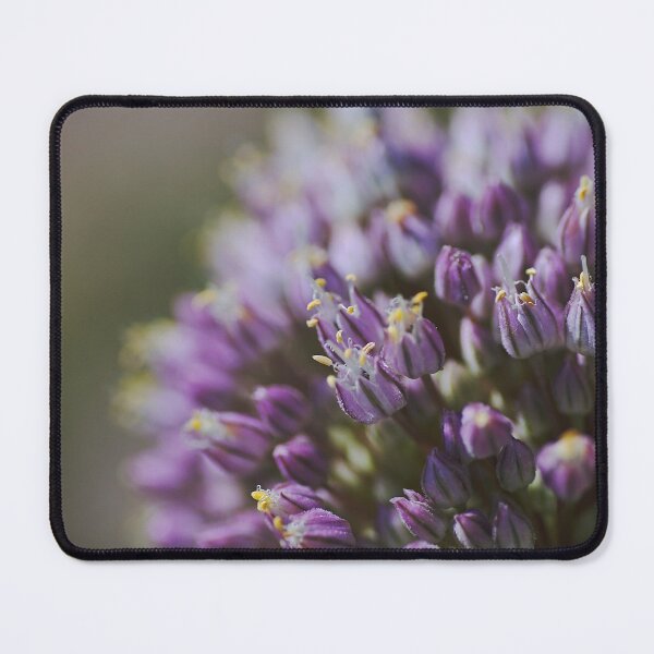 Item preview, Purple Garlic Flower Head designed and sold by Joy Watson - Natural Light Photography .