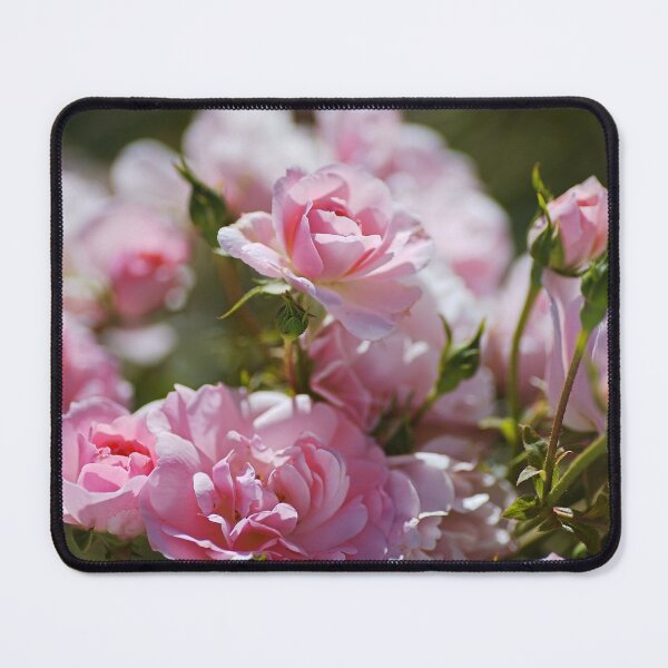 Item preview, Soft Pink Roses Spring Romance designed and sold by Joy Watson - Natural Light Photography .