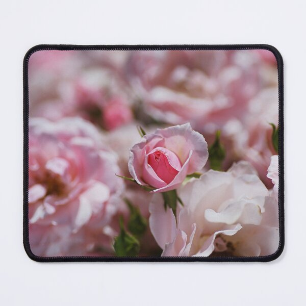 Item preview, Rose Bud In The Bunch designed and sold by Joy Watson - Natural Light Photography .
