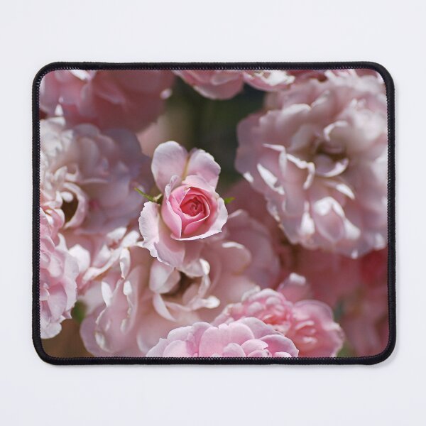 Item preview, Pink Rose Bud Among Family designed and sold by Joy Watson - Natural Light Photography .