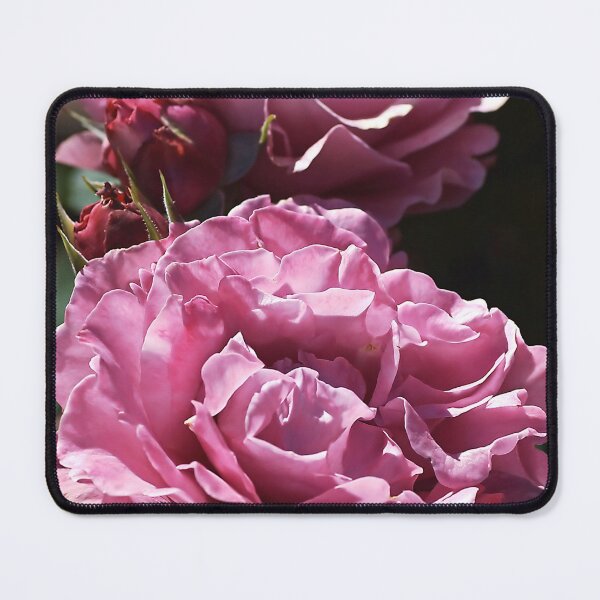 Item preview, Angel Face Roses designed and sold by Joy Watson - Natural Light Photography .