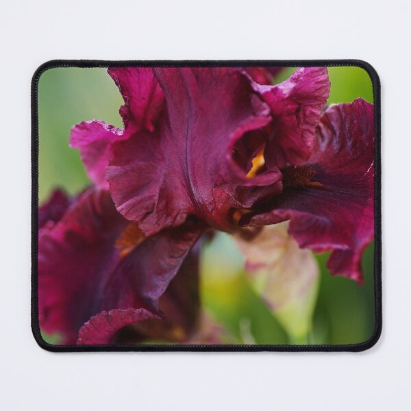Item preview, Iris Burgundy Bearded designed and sold by Joy Watson - Natural Light Photography .