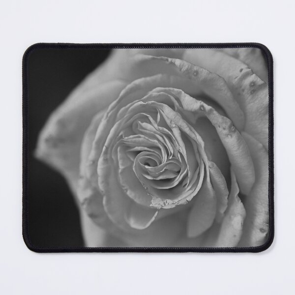 Item preview, Grey Rose designed and sold by Joy Watson - Natural Light Photography .