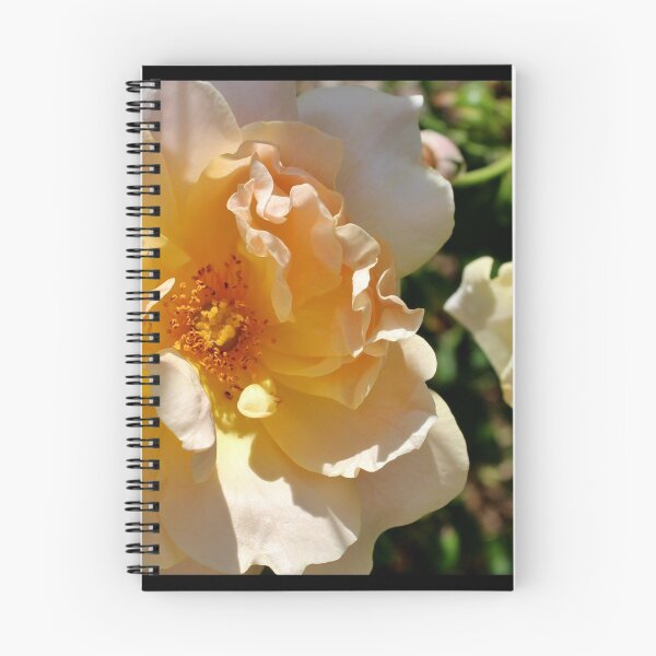 Item preview, The Goldbusch Rose designed and sold by Kathleen Daley.