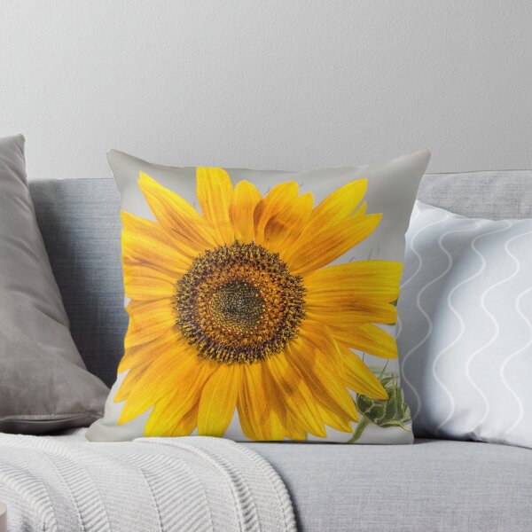Item preview, You Are My Sunshine designed and sold by Thomasyoung.