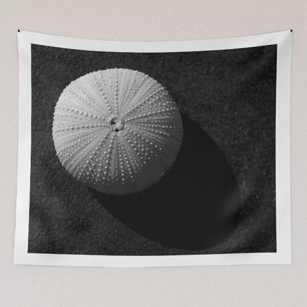 Item preview, Seashell designed and sold by cinema4design.