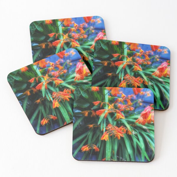 Item preview, Orange Crocosmia flowers  by Lorraine (My-Joy) designed and sold by Lorraine Lashley  - My Joy..