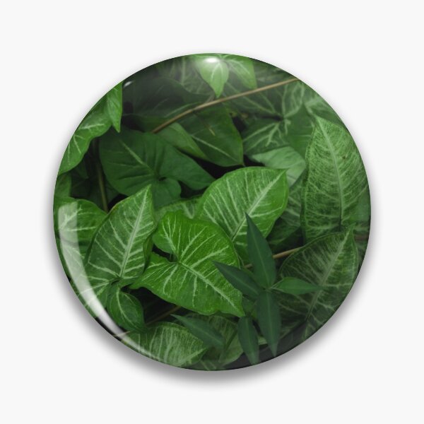 Item preview, Picture of Natural Plants  designed and sold by TALAT-SHOPS.