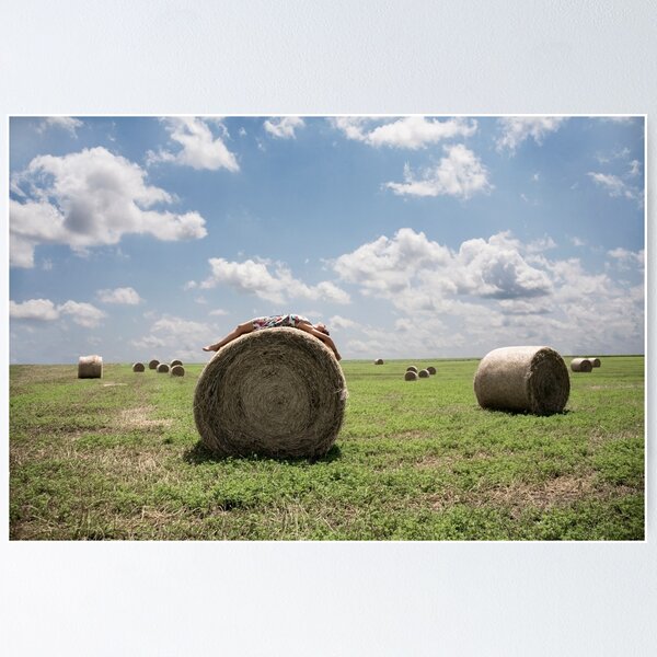 Item preview, Roll in the Hay designed and sold by Kelly Nicolaisen.
