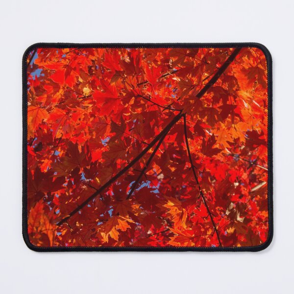 Item preview, Brilliant Red Autumn Under the Maple Tree designed and sold by Georgia Mizuleva.