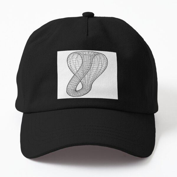 A two-dimensional representation of the Klein bottle immersed in three-dimensional space, #TwoDimensional, #representation, #KleinBottle, #immersed, #ThreeDimensional, #space Dad Hat
