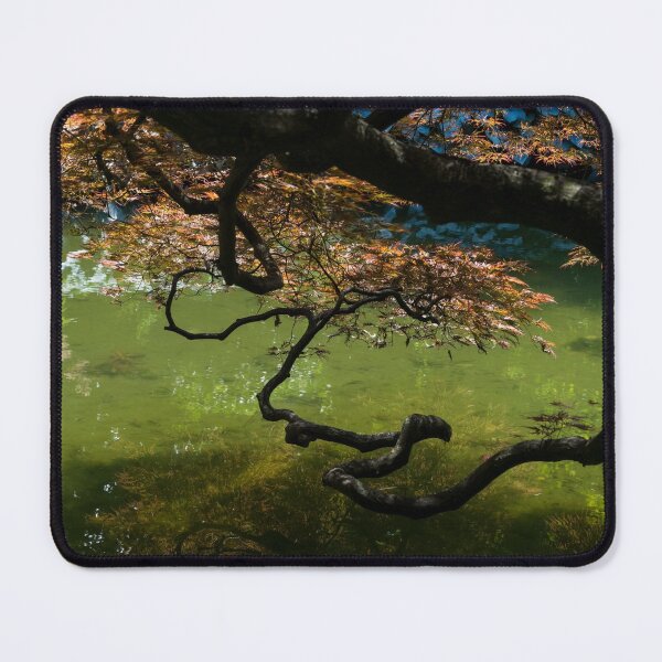 Item preview, Twisted - Graceful Japanese Maple Branches Overwater designed and sold by Georgia Mizuleva.