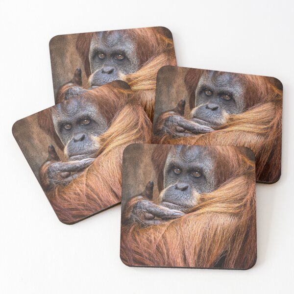 Item preview, Sumatran Orangutan  designed and sold by AJEvans.