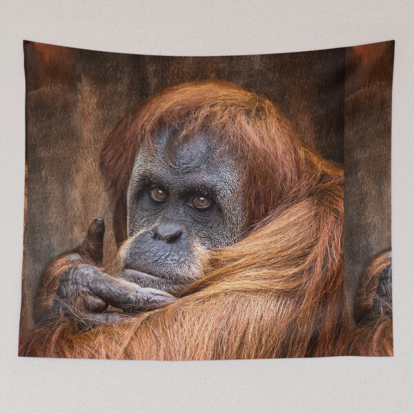Item preview, Sumatran Orangutan  designed and sold by AJEvans.