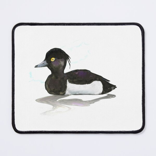 Item preview, Tufted Duck watercolor designed and sold by Bwiselizzy.