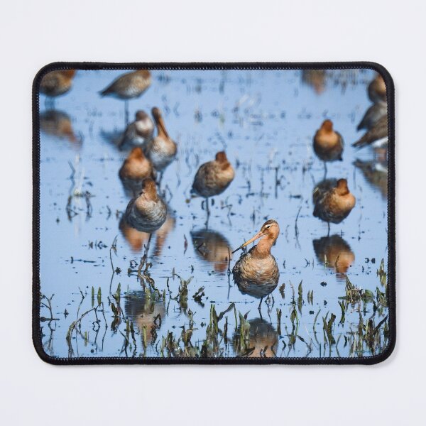 Item preview, Black tailed godwits designed and sold by Anita van Gendt.
