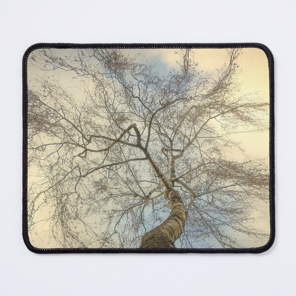 Item preview, Beautiful tree branches situated against a stunning  colorful sky designed and sold by Anita van Gendt.