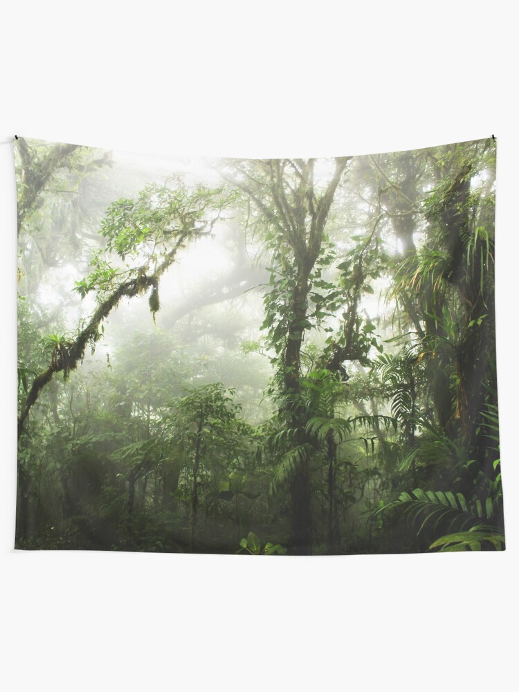 Alternate view of Cloud Forest Tapestry