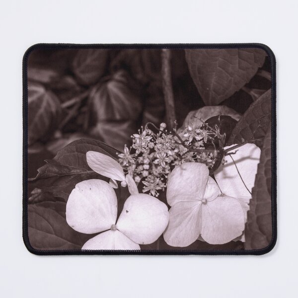 Item preview, Looking - A View  designed and sold by Carl Gaynor.